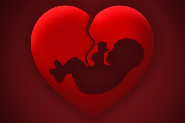 वेदान्ती सिद्धांत